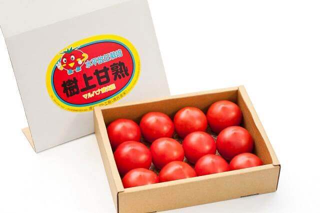 樹上甘熟トマト